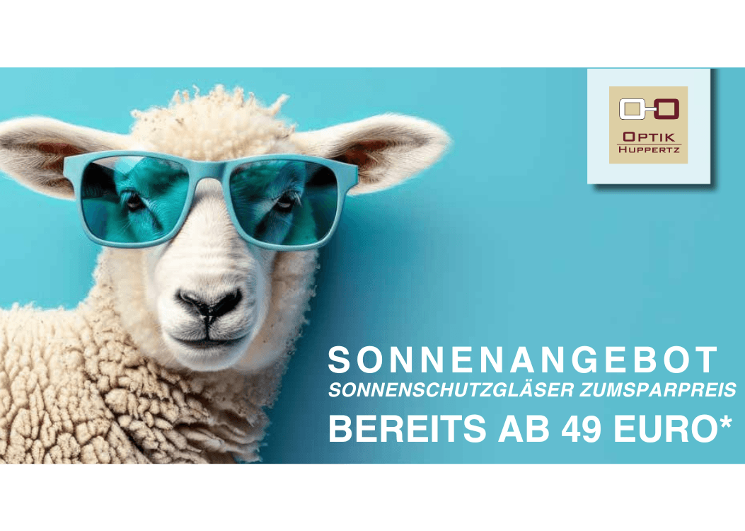 Bild zum Sonnenschutz Angebot 2024 Huppertz